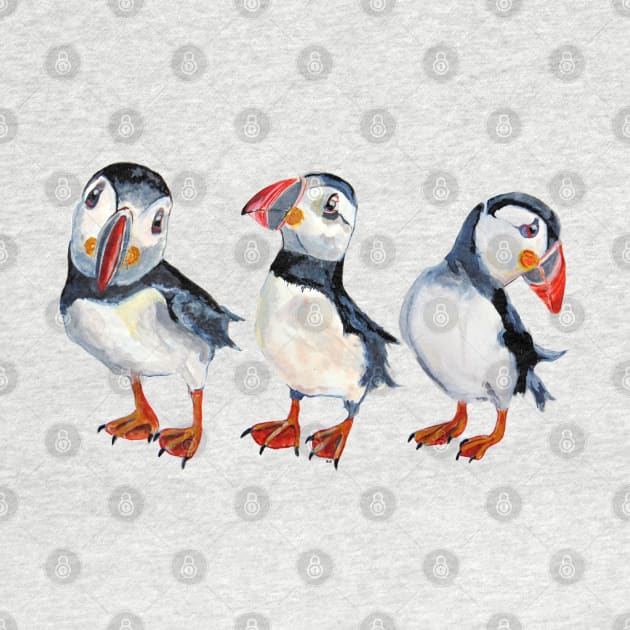 Puffins by msmart